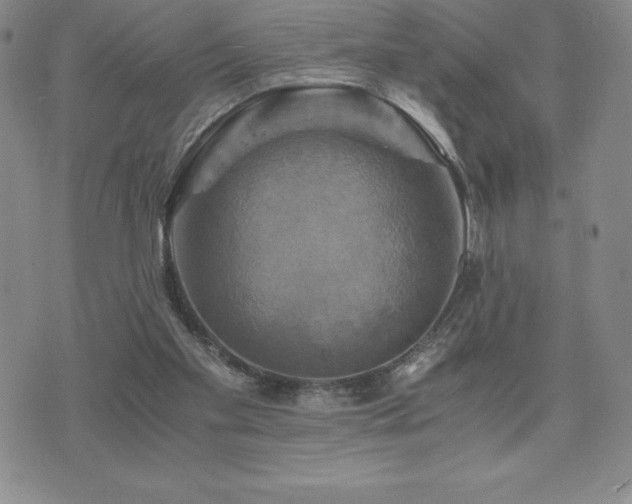 X0000075860109200609151236