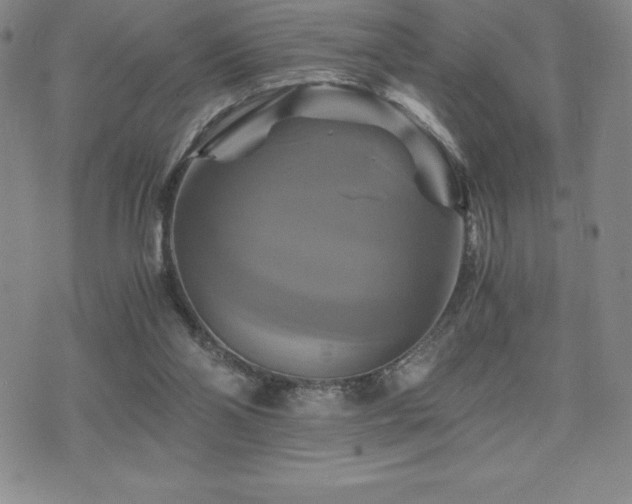 X0000075860110200609151236