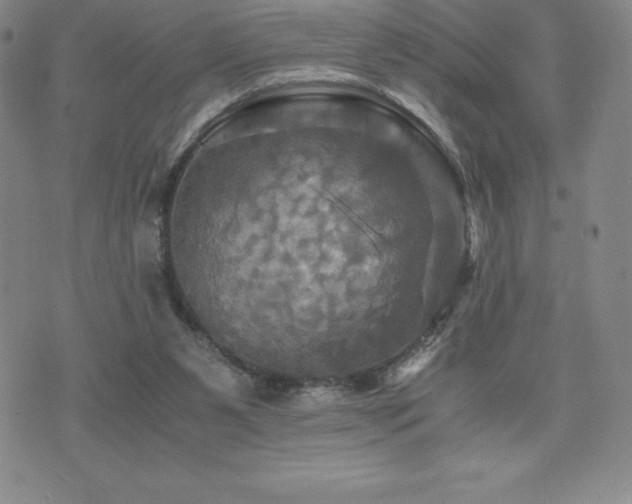 X0000075860111200609151236