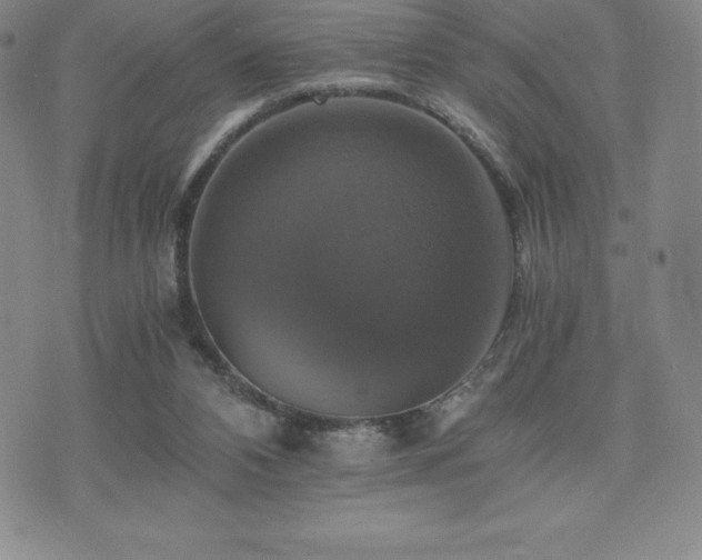 X0000075860112200609151236