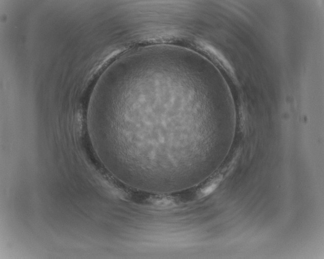 X0000075860113200609151236