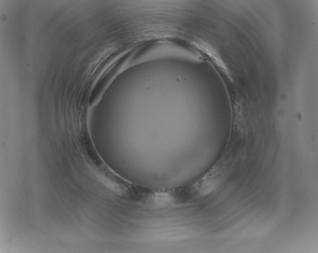 X0000075860114200609151236