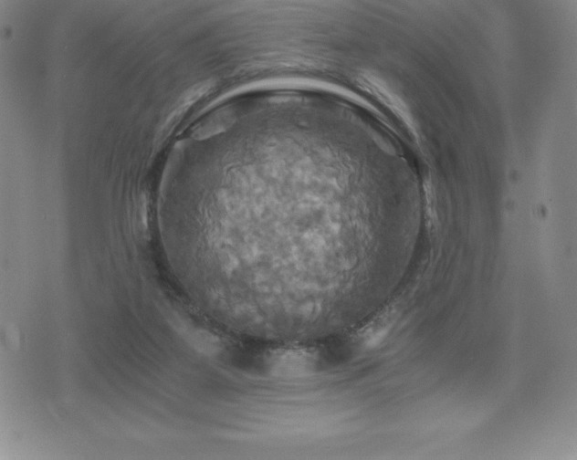 X0000075860115200609151236