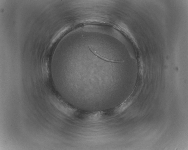 X0000075860116200609151236