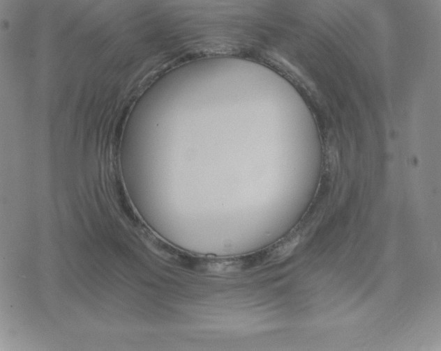 X0000075860117200609151236