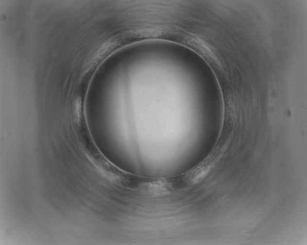 X0000075860118200609151236