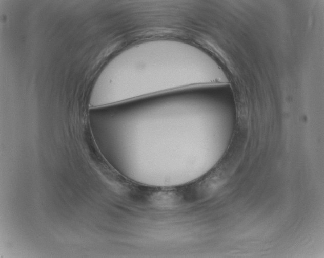 X0000075860119200609151236