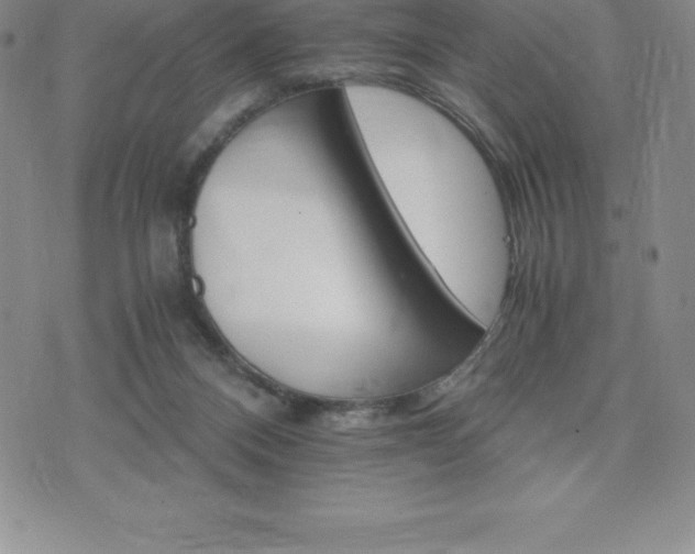 X0000075860120200609151236