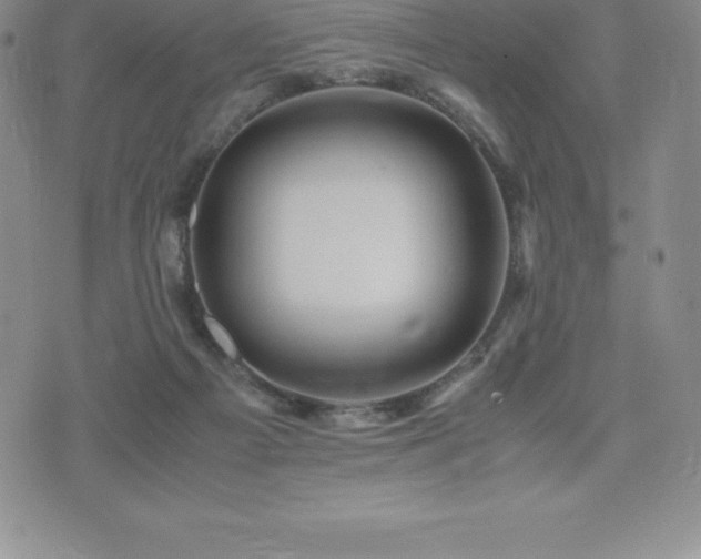 X0000075860121200609151236