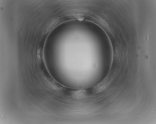 X0000075860122200609151236