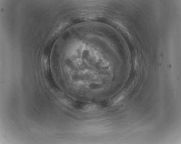 X0000075860123200609151236