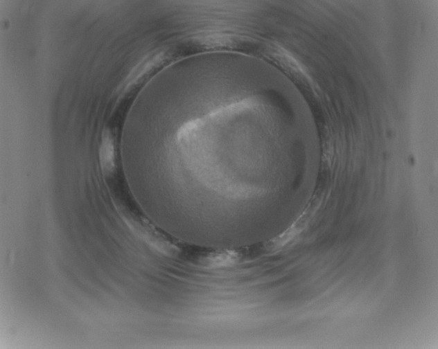 X0000075860124200609151236