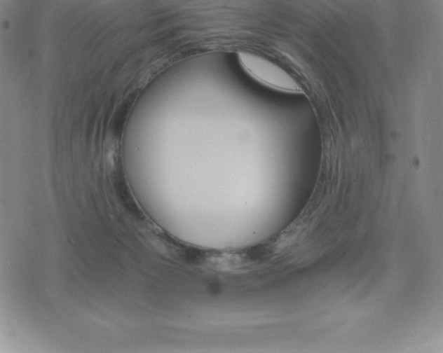 X0000075860125200609151236