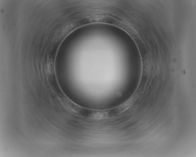 X0000075860126200609151236