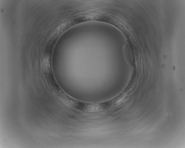 X0000075860127200609151236