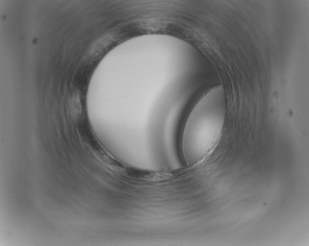 X0000075860128200609151236