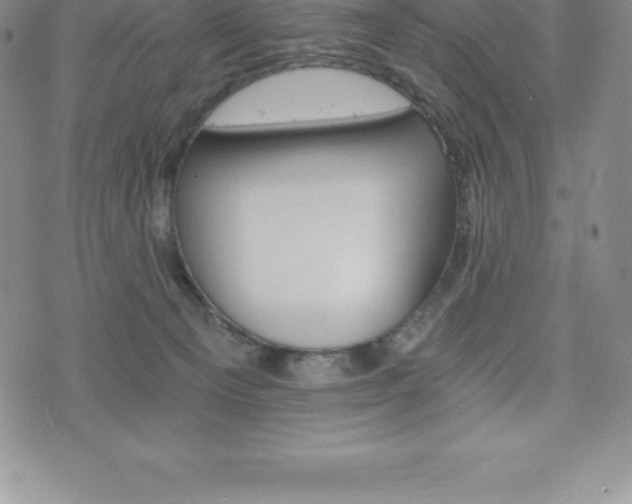 X0000075860129200609151236