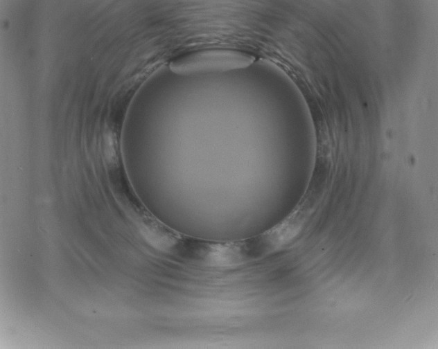 X0000075860130200609151235