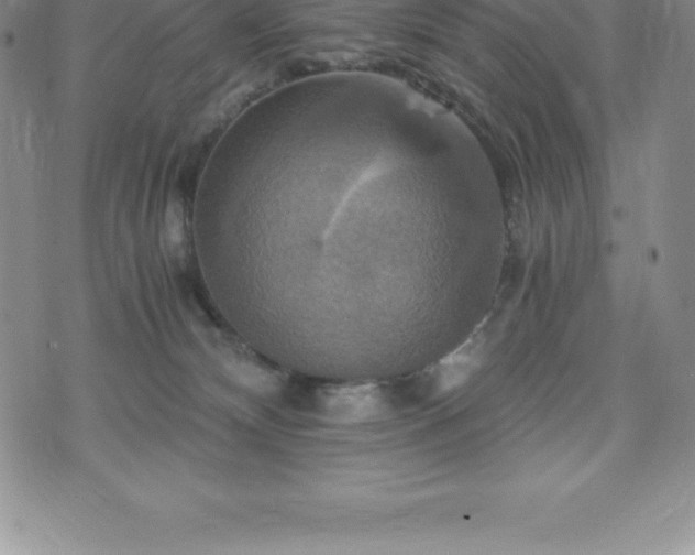 X0000075860132200609151235