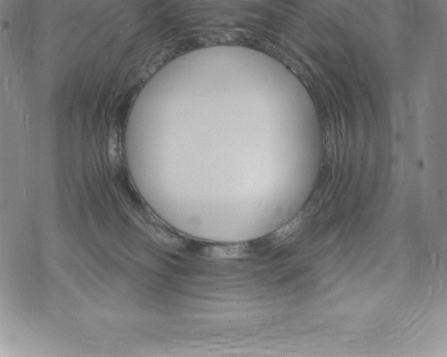 X0000075860134200609151235