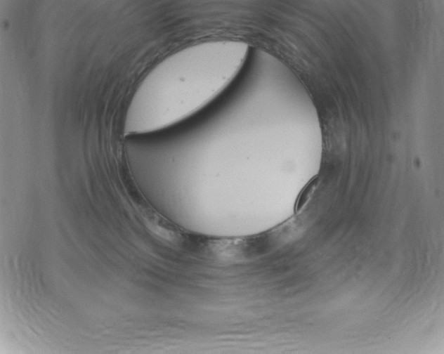 X0000075860136200609151235