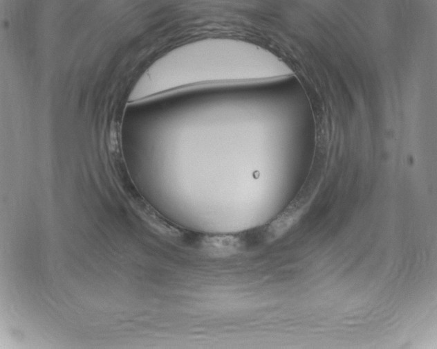 X0000075860137200609151235