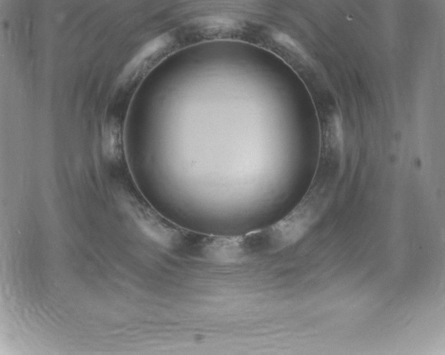 X0000075860138200609151235