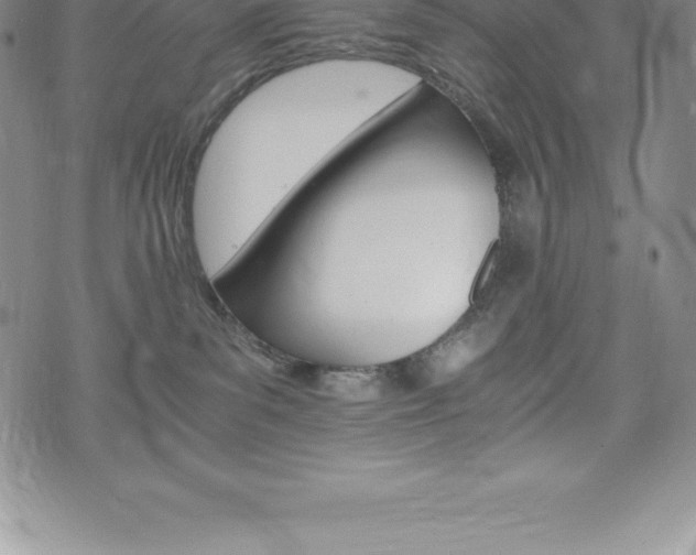 X0000075860139200609151235