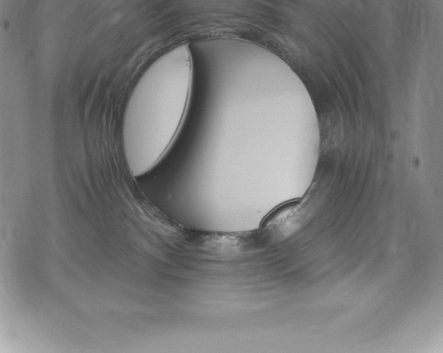 X0000075860140200609151235