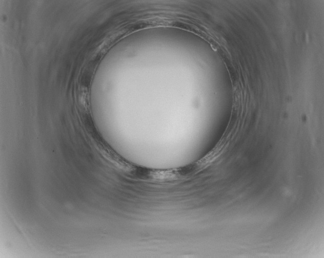 X0000075860141200609151235