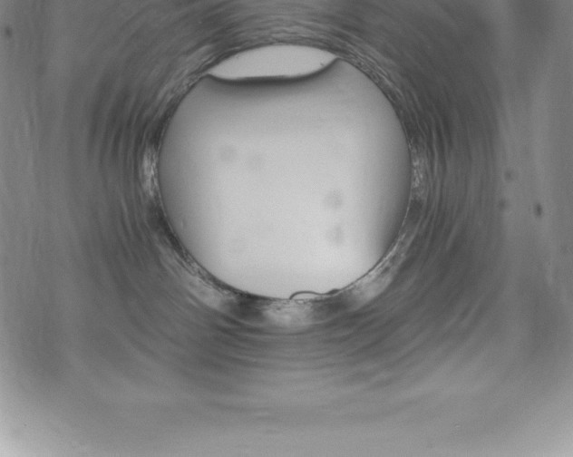 X0000075860142200609151235