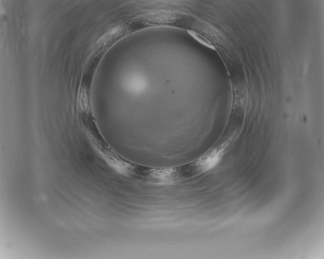 X0000075860143200609151235