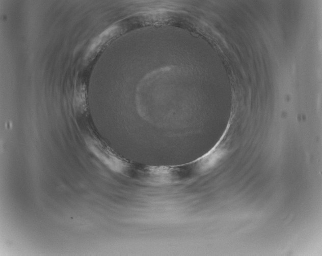 X0000075860144200609151235