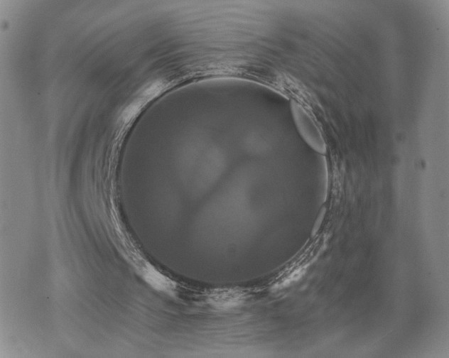 X0000075860145200609151234