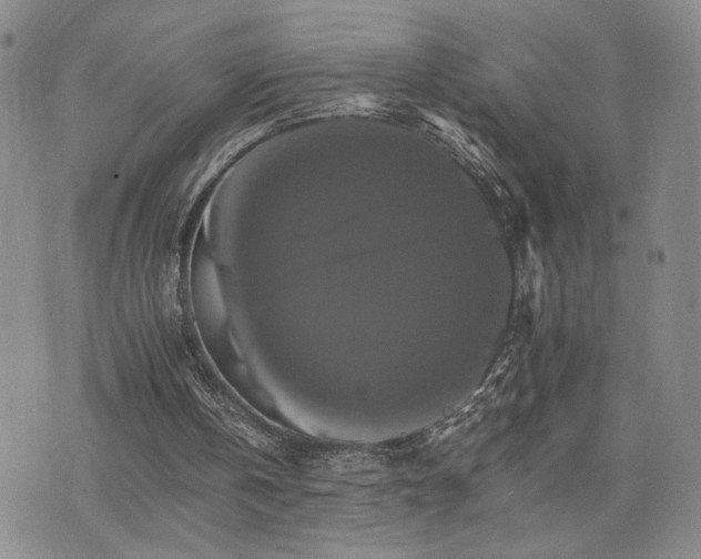 X0000075860146200609151234