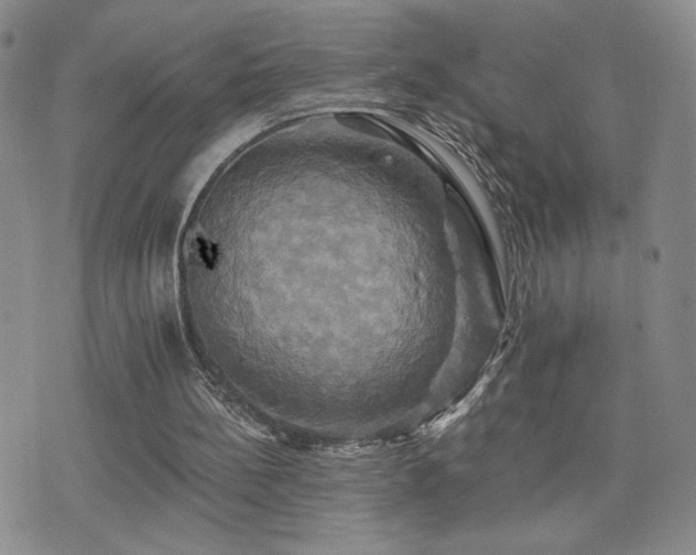 X0000075860148200609151235