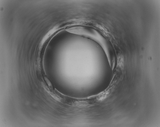 X0000075860150200609151235