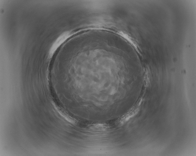 X0000075860151200609151235