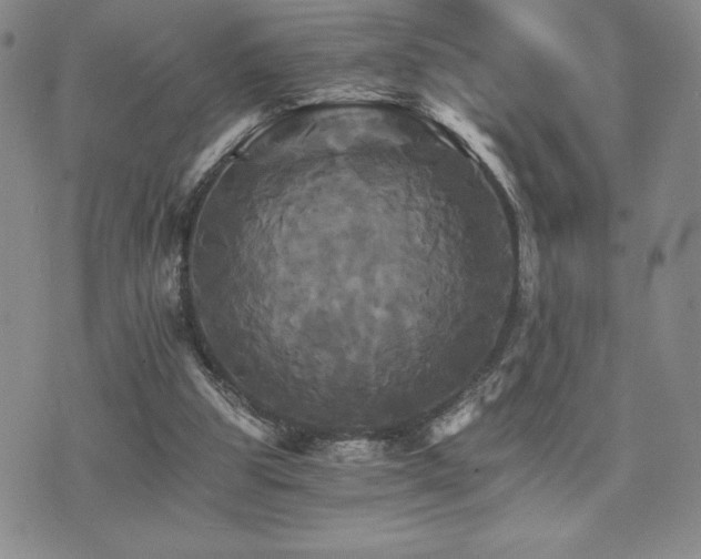 X0000075860153200609151235