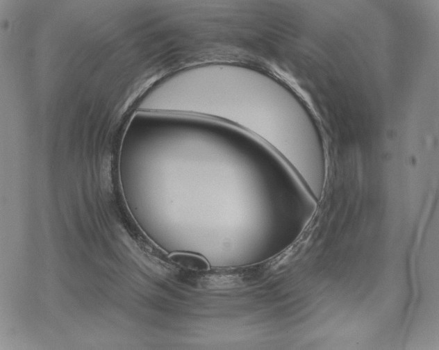 X0000075860154200609151235