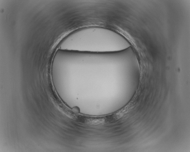 X0000075860155200609151235