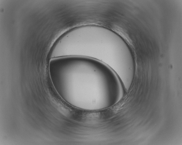 X0000075860156200609151235