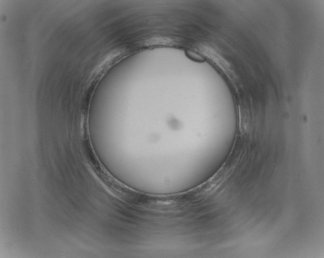 X0000075860157200609151235