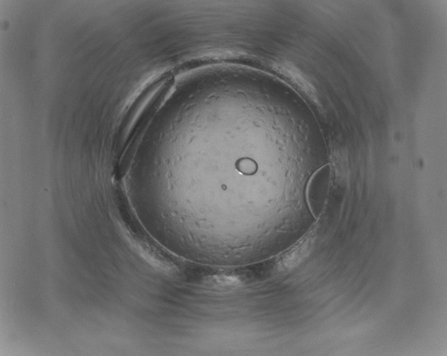 X0000075860159200609151235