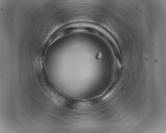 X0000075860160200609151235