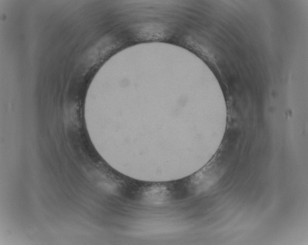 X0000075860162200609151235