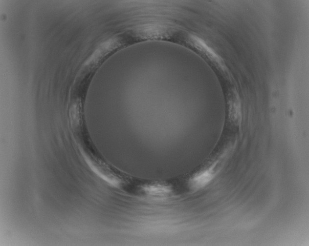 X0000075860165200609151235