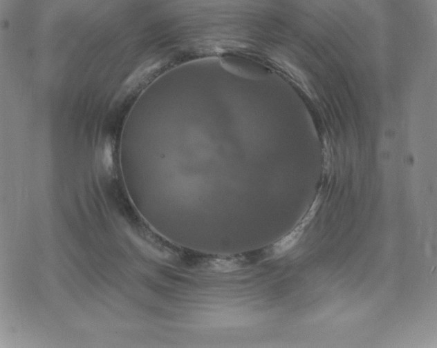 X0000075860166200609151235