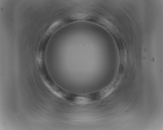 X0000075860167200609151235