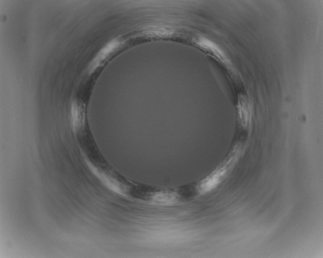 X0000075860168200609151235